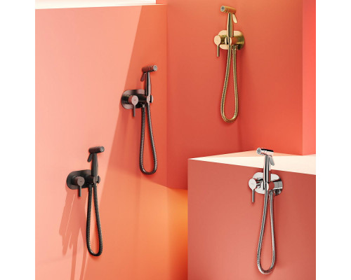 Смеситель Raglo R20.52.09 с гигиеническим душем встраиваемый , графит