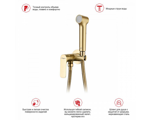 Смеситель Raglo R03.52.03 с гигиеническим душем встраиваемый , сатин золотой