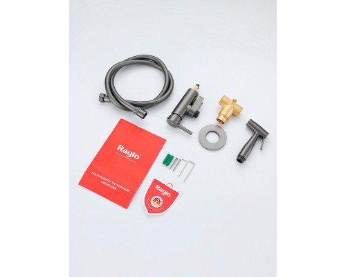 Смеситель Raglo R20.54.06 с гигиеническим душем встраиваемый , графит