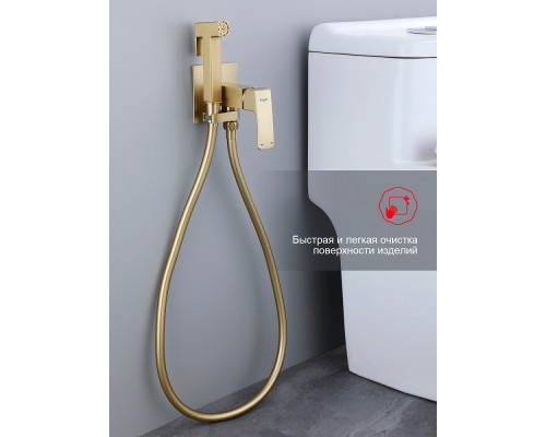 Смеситель Raglo R02.54.03 с гигиеническим душем встраиваемый , сатин золотой