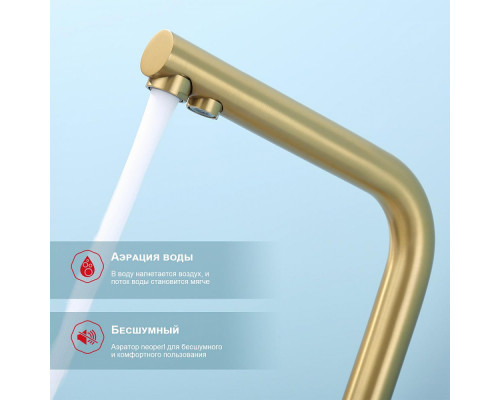 Смеситель Raglo R81.61.03 для кухни с подключением к фильтру излив поворотный, сатин золотой