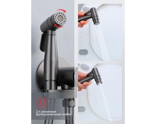 Смеситель Raglo R20.54.06 с гигиеническим душем встраиваемый , графит