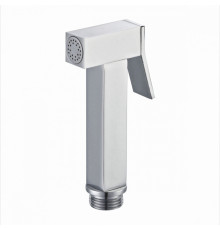 Лейка для гигиенического душа Raglo R460.04 латунь, хром