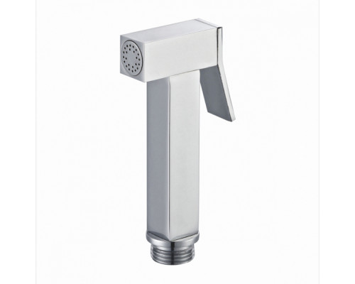 Лейка для гигиенического душа Raglo R460.04 латунь, хром