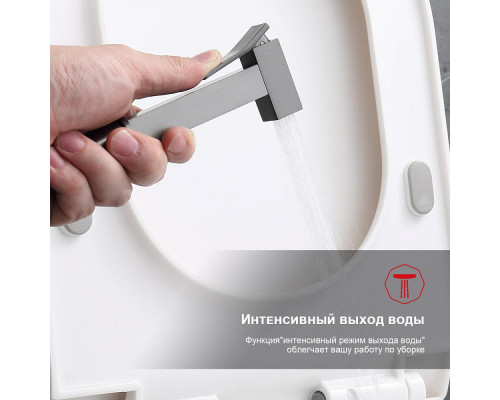 Смеситель Raglo R01.52.09 с гигиеническим душем встраиваемый , графит