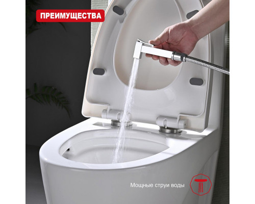 Лейка для гигиенического душа Raglo R460.04 латунь, хром