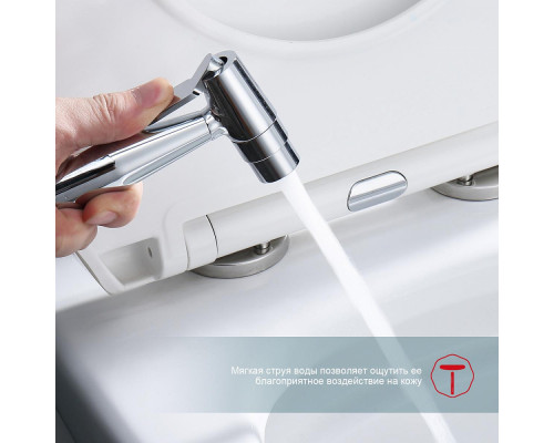 Смеситель Raglo R20.52 с гигиеническим душем встраиваемый , хром