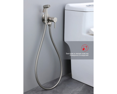 Смеситель Raglo R20.54.05 с гигиеническим душем встраиваемый , сатин