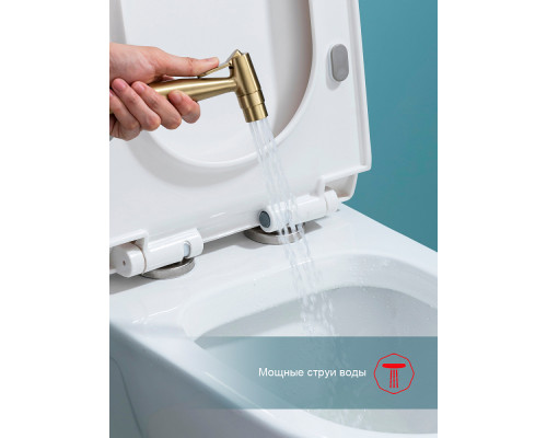 Смеситель Raglo R07.52.03 с гигиеническим душем встраиваемый , сатин золотой