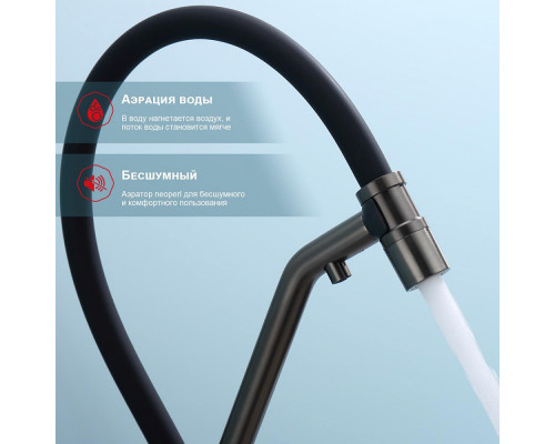 Смеситель Raglo R81.62.09 для кухни с подключением к фильтру съёмный гибкий излив с магнитным фиксатором, графит