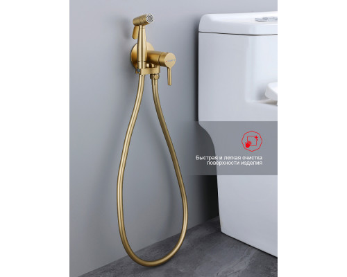 Смеситель Raglo R20.54.03 с гигиеническим душем встраиваемый , сатин золотой