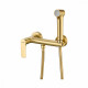 Смеситель Raglo R03.51.03 с гигиеническим душем настенный , сатин золотой