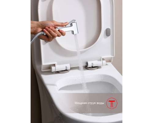 Смеситель Raglo R51.52 с гигиеническим душем встраиваемый , хром