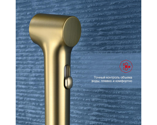 Смеситель Raglo R03.51.03 с гигиеническим душем настенный , сатин золотой