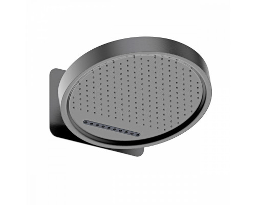 Лейка верхняя Raglo R452.02.09 для душа ∅323мм 2 режима круглая нержавеющая сталь, графит