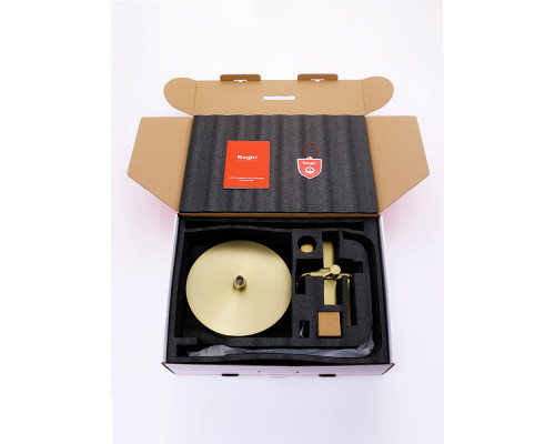 Душевая система Raglo R07.24.03 для ванны и душа излив поворотный 20 см, сатин золотой