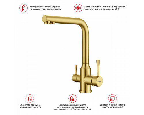 Смеситель Raglo R81.61.03 для кухни с подключением к фильтру излив поворотный, сатин золотой