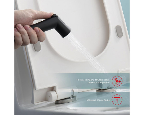 Смеситель Raglo R23.56.06 с гигиеническим душем встраиваемый с термостатом , черный