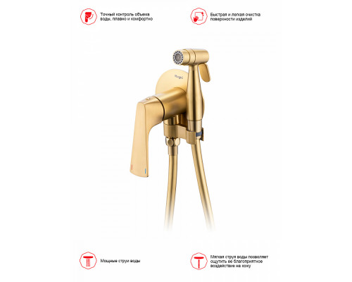 Смеситель Raglo R07.52.03 с гигиеническим душем встраиваемый , сатин золотой