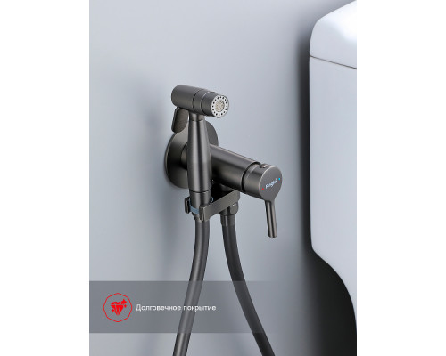 Смеситель Raglo R20.54.06 с гигиеническим душем встраиваемый , графит
