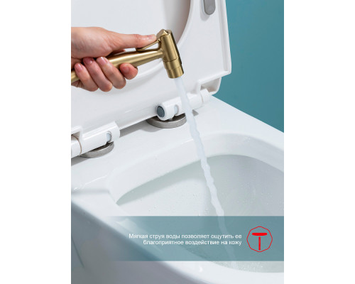 Смеситель Raglo R07.52.03 с гигиеническим душем встраиваемый , сатин золотой