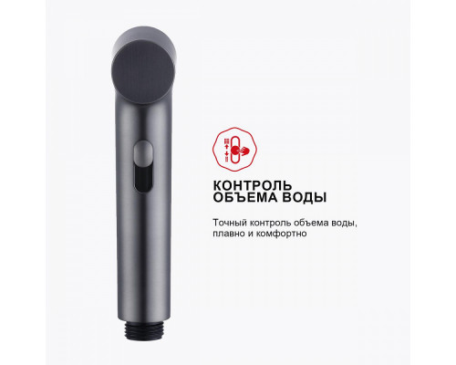 Смеситель Raglo R03.52.09 с гигиеническим душем встраиваемый , графит