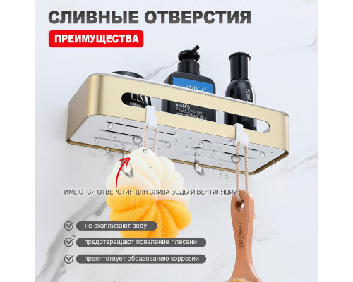 Полка для ванны и душа Raglo R340.02.03 прямая с крючками,сатин золотой