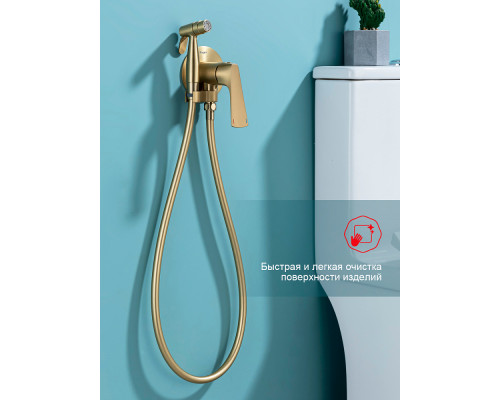 Смеситель Raglo R07.52.03 с гигиеническим душем встраиваемый , сатин золотой