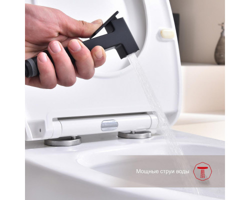 Смеситель Raglo R51.51.06 с гигиеническим душем настенный , черный