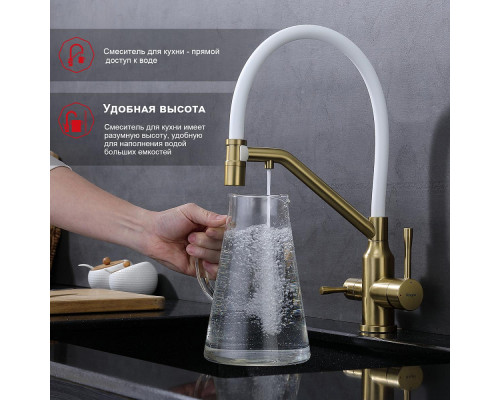 Смеситель Raglo R81.62.03 для кухни с подключением к фильтру съёмный гибкий излив с магнитным фиксатором, сатин золотой