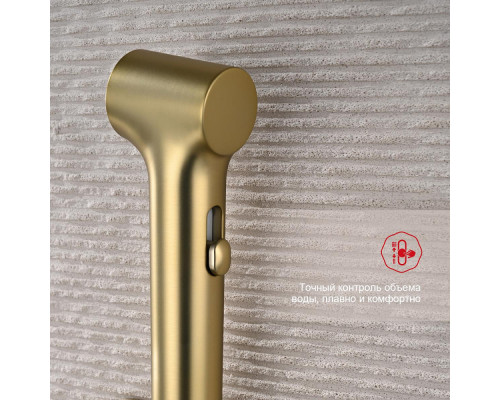 Смеситель Raglo R03.52.03 с гигиеническим душем встраиваемый , сатин золотой
