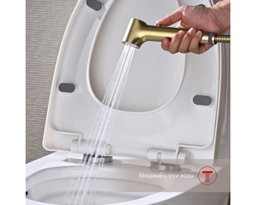 Смеситель Raglo R03.52.03 с гигиеническим душем встраиваемый , сатин золотой