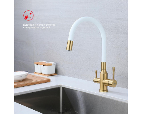 Смеситель Raglo R81.64.03 для кухни с подключением к фильтру излив гибкий поворотный, сатин золотой