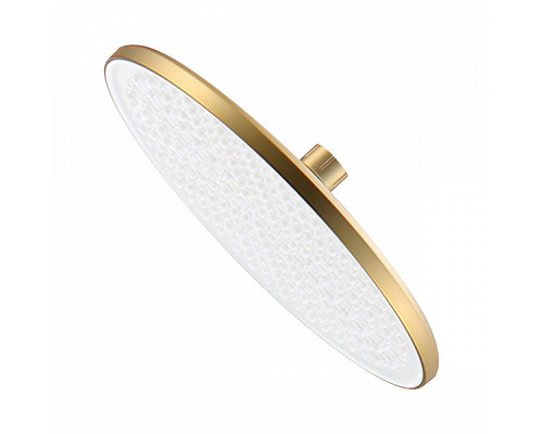 Лейка душевая верхняя Raglo R451.50.03 тропический душ ∅250мм пластик/силикон, Сатин золотой
