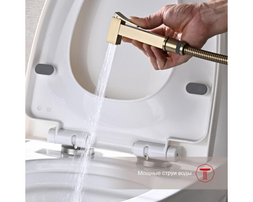 Смеситель Raglo R01.52.03 с гигиеническим душем встраиваемый , сатин золотой