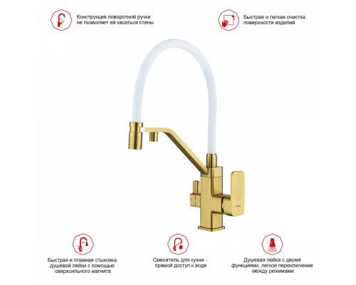 Смеситель Raglo R85.62.03 для кухни с подключением к фильтру съёмный гибкий излив с магнитным фиксатором, сатин золотой