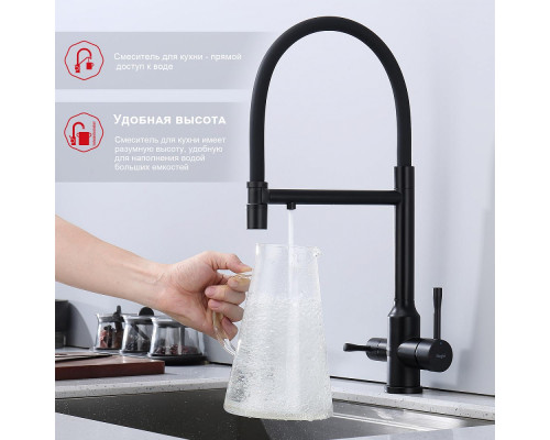 Смеситель Raglo R81.63.06 для кухни с подключением к фильтру съёмный гибкий излив с магнитным фиксатором, черный