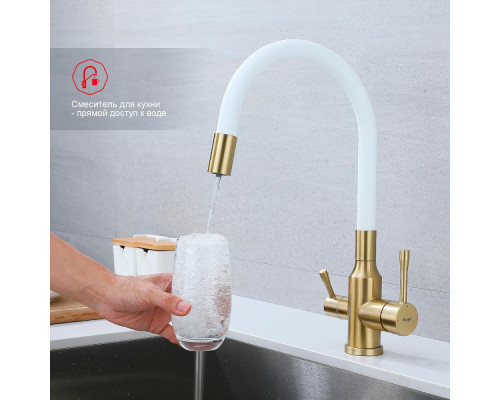 Смеситель Raglo R81.64.03 для кухни с подключением к фильтру излив гибкий поворотный, сатин золотой