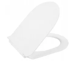 Сиденье для унитаза с микролифтом BelBagno Flay-R BB2111SC