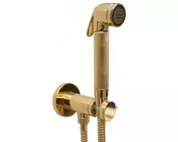 Гигиенический душ Bossini Nikita E37008B.021 со смесителем, золотой