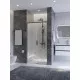 Душевая дверь CEZARES PLANE-BF-1-100-C-GM, 100х195, профиль оружейная сталь, стекло прозрачное