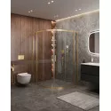Душевой уголок CEZARES MOLVENO-RH-22-120/110-C-BORO-IV