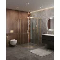 Душевой уголок CEZARES MOLVENO-R-22-100+20-C-BORO-IV