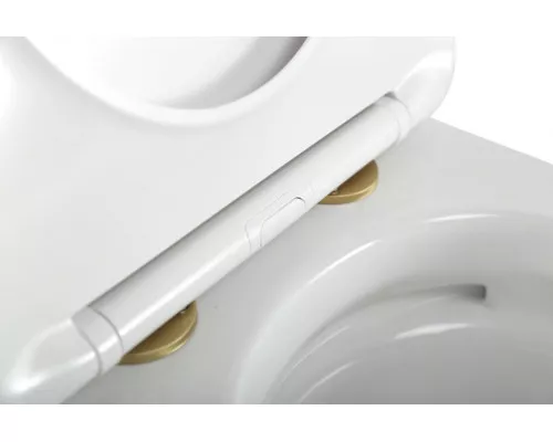 Унитаз подвесной безободковый с сиденьем и смывом TORNADO CEZARES STYLUS-TOR CZR-6601-TH-TOR/SC