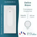 Ванна из литьевого мрамора Delice Bravo 170х75 глянцевая DLR330035-G