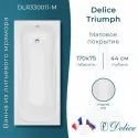 Ванна из литьевого мрамора Delice Triumph 170х75 матовая DLR330011-M