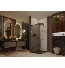 Неподвижная перегородка 119,5х200 см Ambassador Walk-in 15032216 тонированное