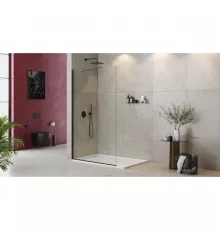 Неподвижная перегородка 120 см Cezares LIBERTA-L-1-TB-120-C-NERO прозрачное