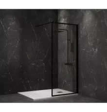 Неподвижная перегородка 100 см Paini PAINI-WalkIN100F прозрачное