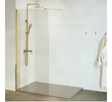 Неподвижная перегородка 120 см RGW WA-002G Walk-in 35100212-16 прозрачное